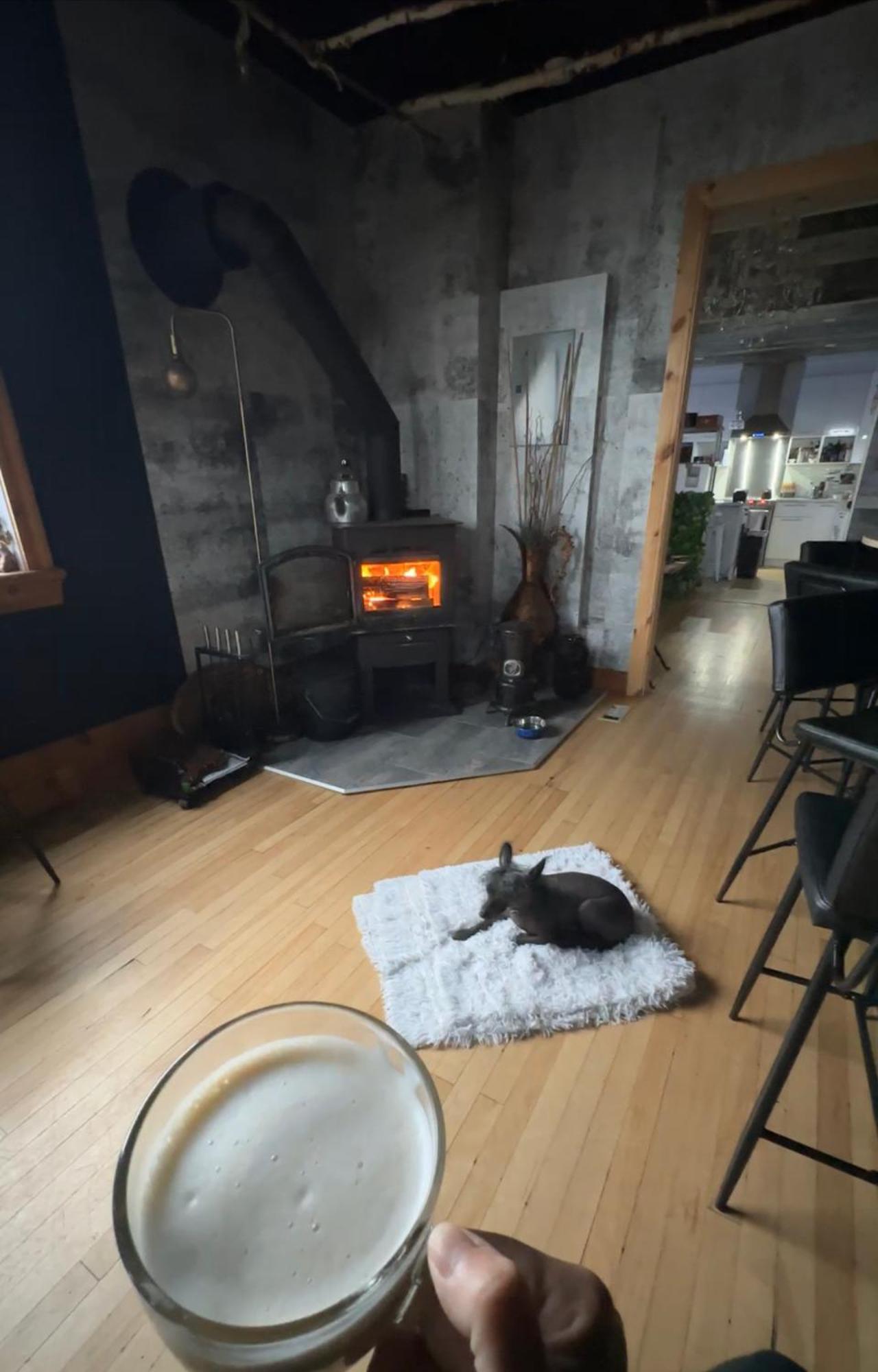 Auberge Et Bistro Namaste Lachute 外观 照片